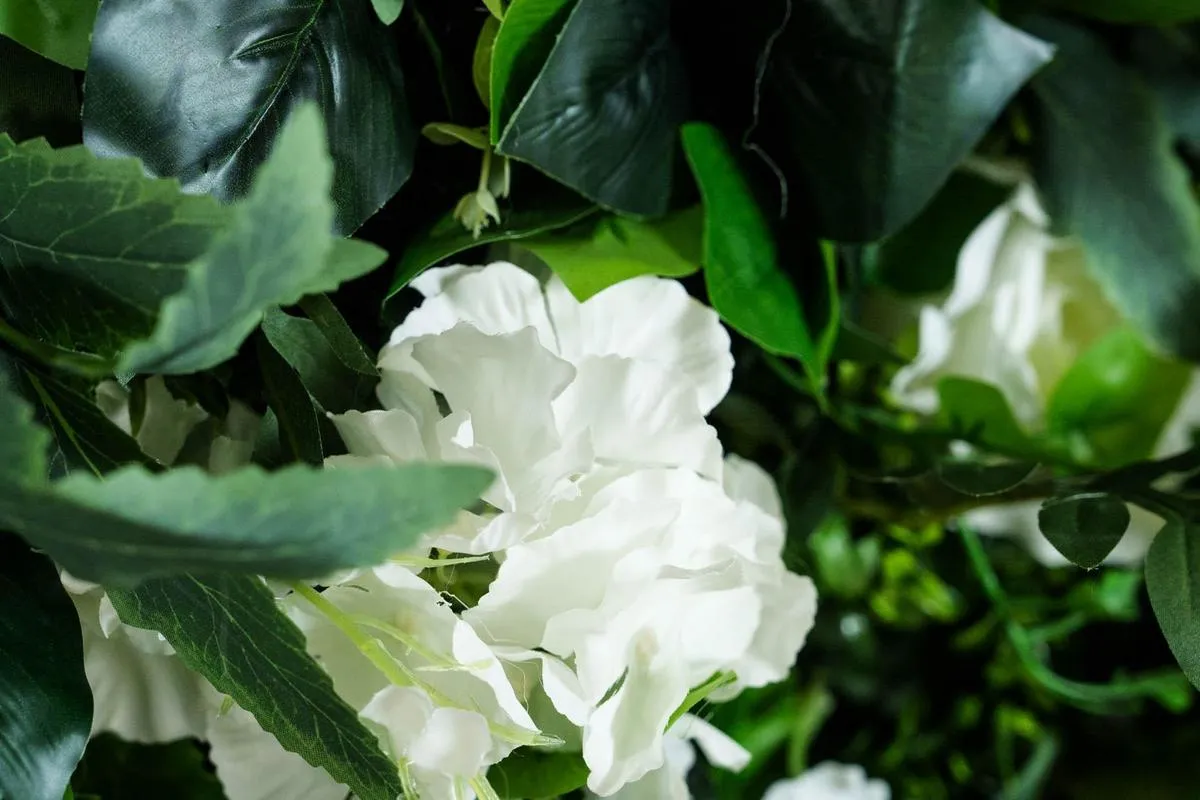 Sono Flower Wall - Media 3