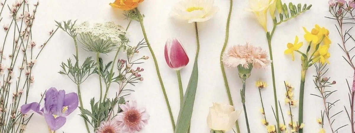 Top-down arrangement of assorted spring flowers including tulips and daffodils on a white background.